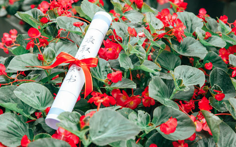 华东师范大学电子与通信工程在职研究生考试科目包括哪些？