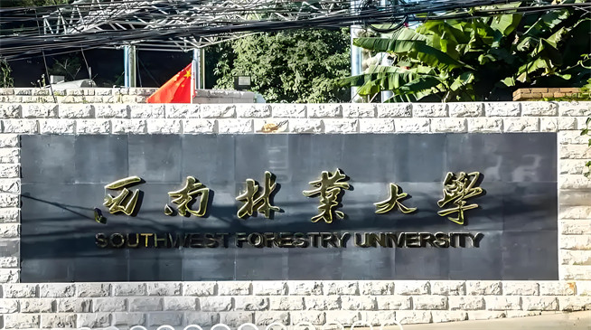 西南林业大学非全日制研究生上课方式详解：灵活度怎么样？