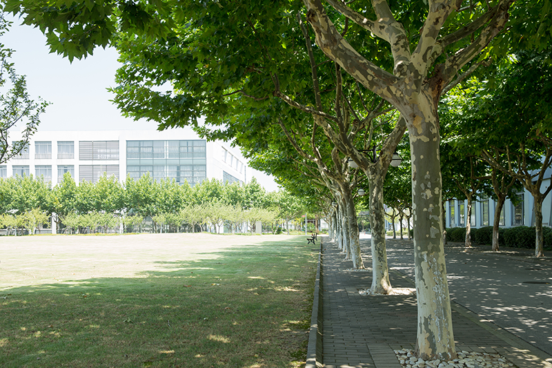 东北大学图集三