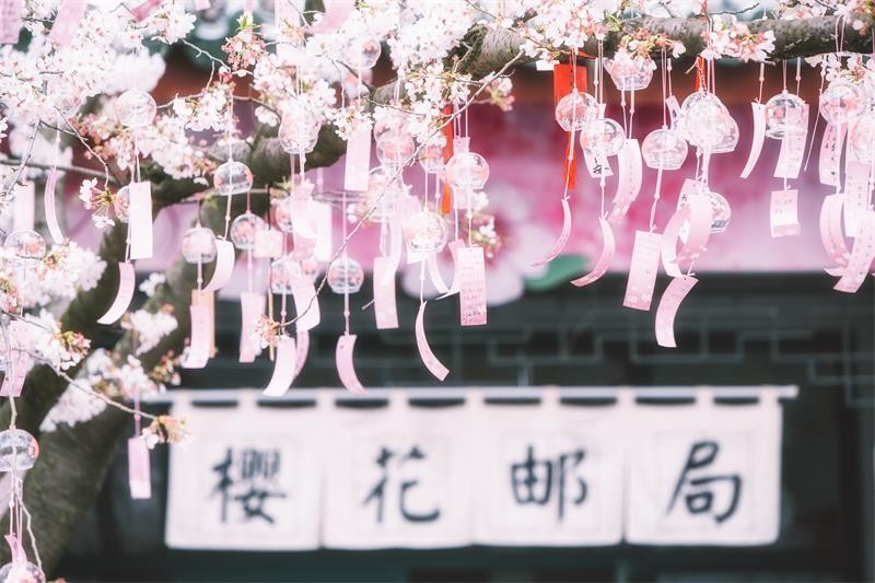 江苏大学图集二