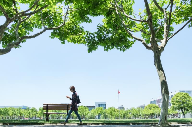 南京财经大学图集一