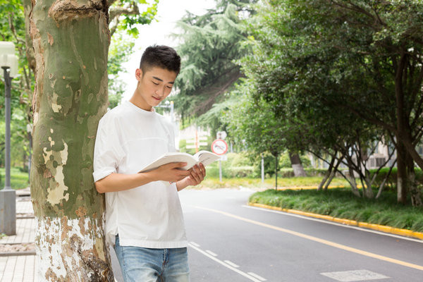 沈阳大学在职研究生有哪些专业