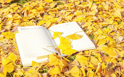 新疆财经大学非全日制研究生报考条件是什么？