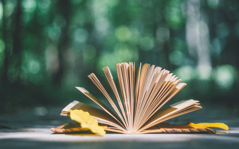 厦门大学在职研究生学费多少钱？