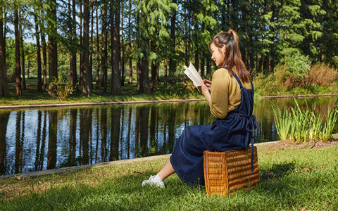 2026年安徽农业大学在职研究生报考条件及要求是什么？