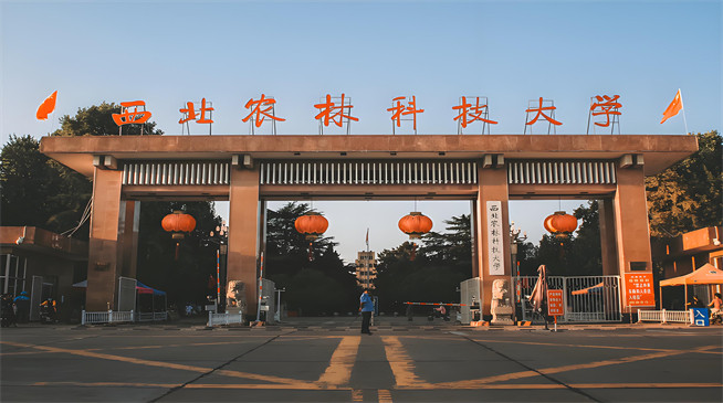 2026年西北农林科技大学在职研究生报考条件是什么？