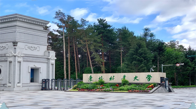 如何报考东北林业大学在职研究生？