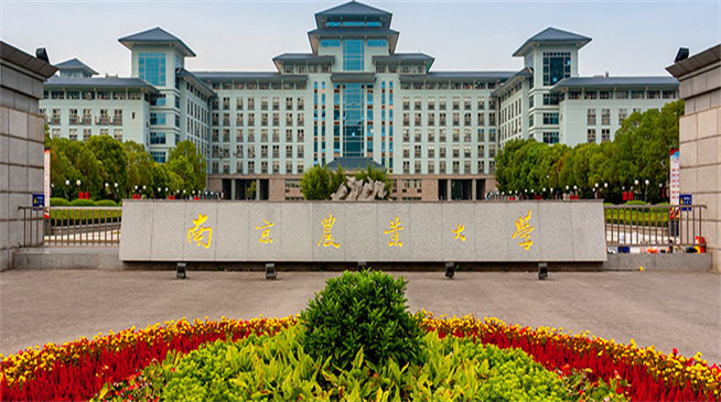 如何报考南京农业大学在职研究生？