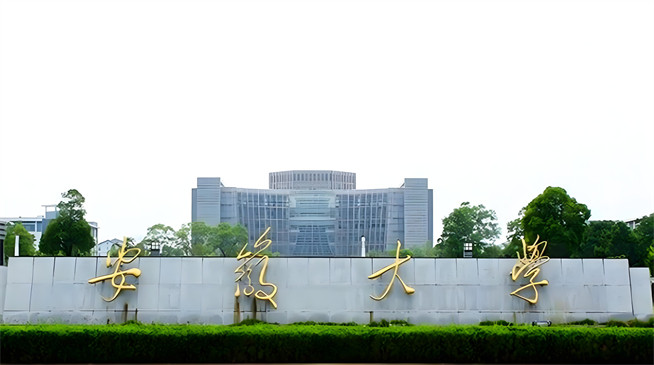 如何报考安徽大学在职研究生？