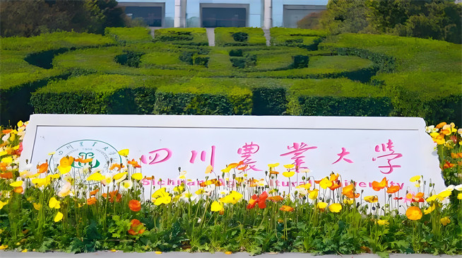 如何报考四川农业大学在职研究生？