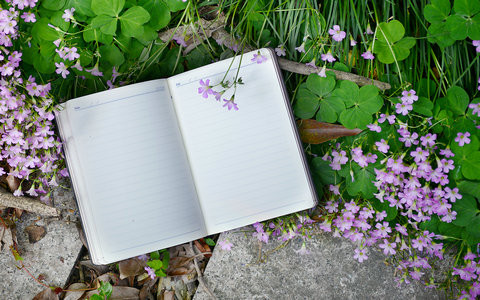 浙江大学教育管理在职研究生学费一年多少钱?