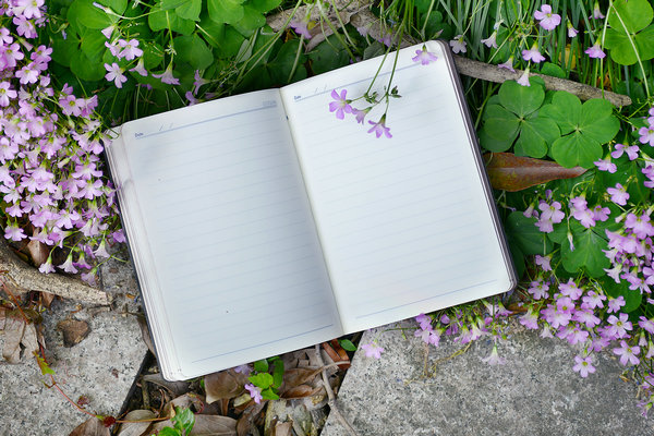 江苏在职研究生专业选择 江苏在职研究生专业选择