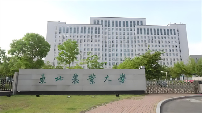 2026年东北农业大学在职研究生招生专业有哪些？