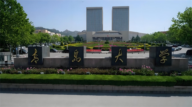 2026年青岛大学在职研究生招生专业有哪些？