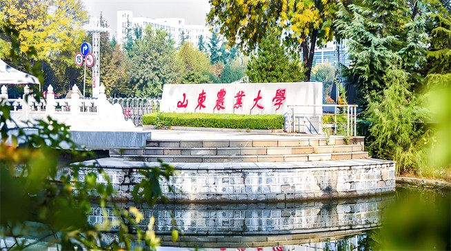 2026年山东农业大学在职研究生招生专业有哪些？
